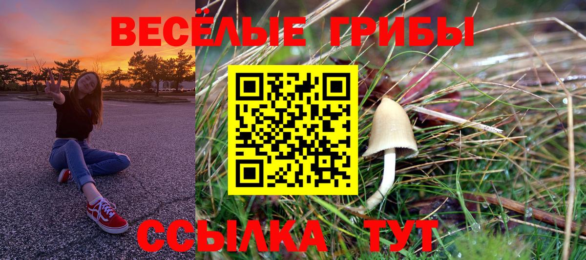 Галлюциногенные грибы ЛСД  Вход с VPN  где купить наркоту  Коммунар 